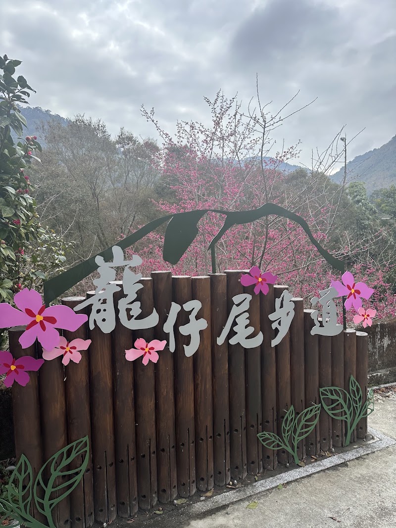 Longzaiwei Trail - Longzaiwei Trail 603, Taiwan, Chiayi County, Meishan Township, 太和巃仔尾步道