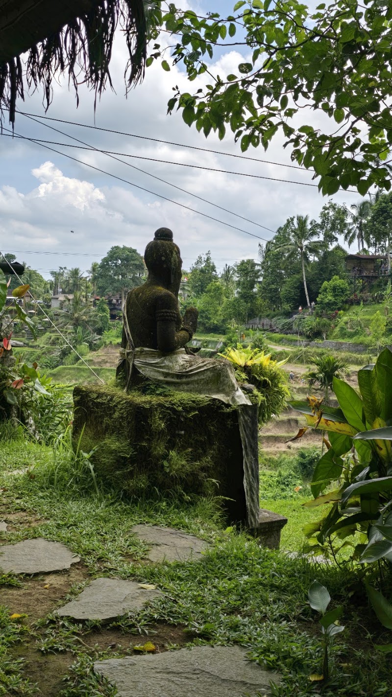 Mupu Rice Terrace - Mupu Rice Terrace Tegallalang, Gianyar Regency, Bali 80561, Indonesia