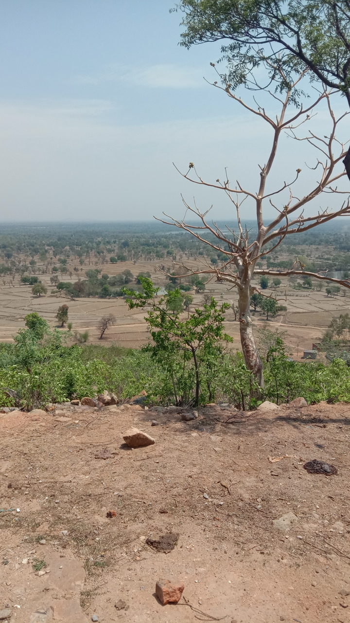Bana dai mandir - Bana dai mandir, 3CPH+QC7, Bana, Chhattisgarh 495552, India