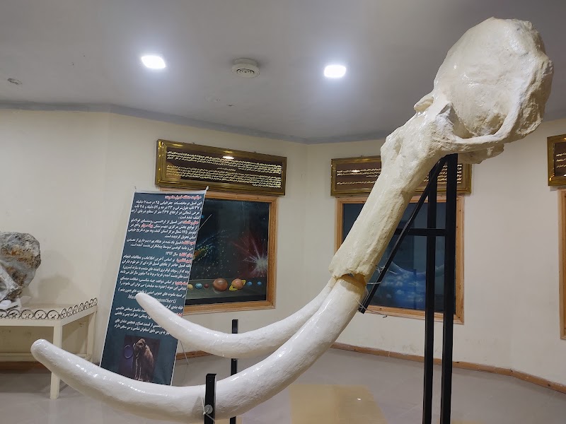 Wildlife Museum - Wildlife Museum, 678W+G24, Ardabil, Ardabil Province, Iran