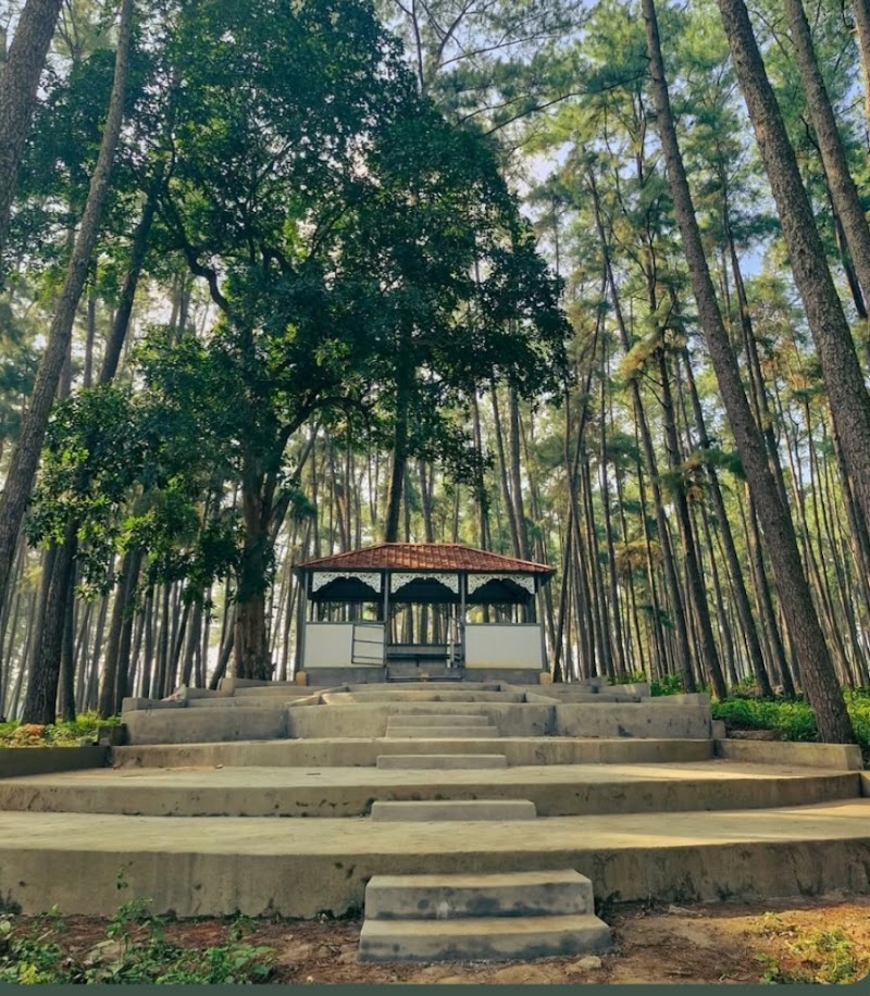 Go Explore Tour and Travel - Go Explore Tour and Travel, Daringbadi, Odisha 762104, India
