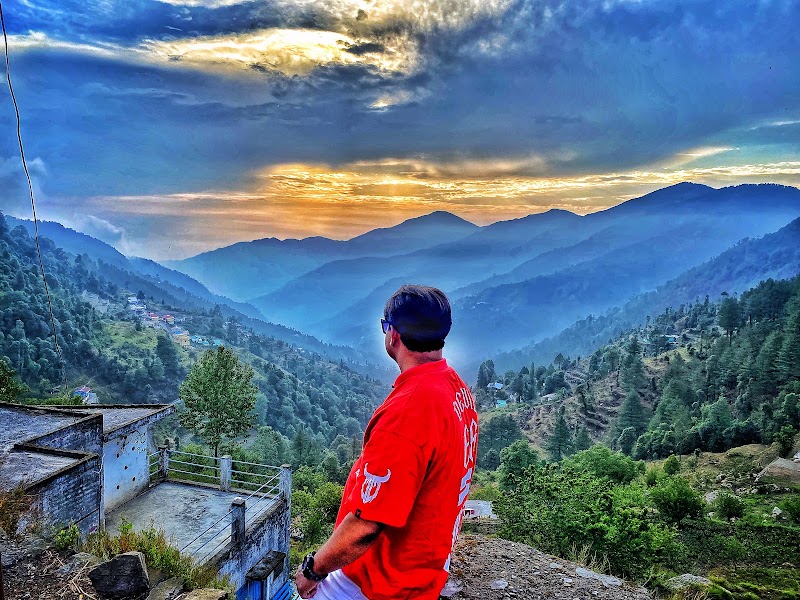 Kilbury and Pangot Wildlife and Bird Sanctuary - Kilbury and Pangot Wildlife and Bird Sanctuary CC9W+8JC, Pangoot, Naina Range, Uttarakhand 263132, India