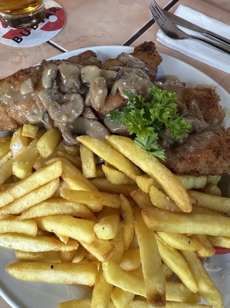 restaurace-pension na Točně - restaurace-pension na Točně, u, Janov 4, 405 02 Janov, Czechia