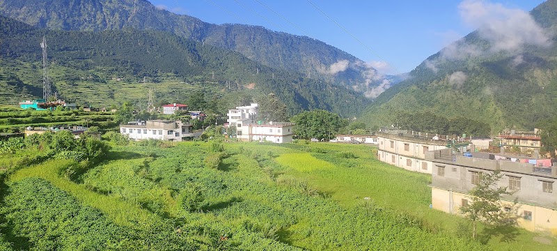 Pipalkoti