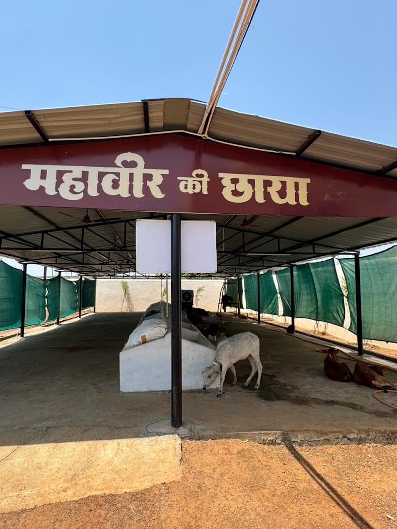 GAU AROGYAM - GAU AROGYAM, Mohara road, bypass, near mohara, Rajnandgaon, Mohara, Chhattisgarh 491441, India