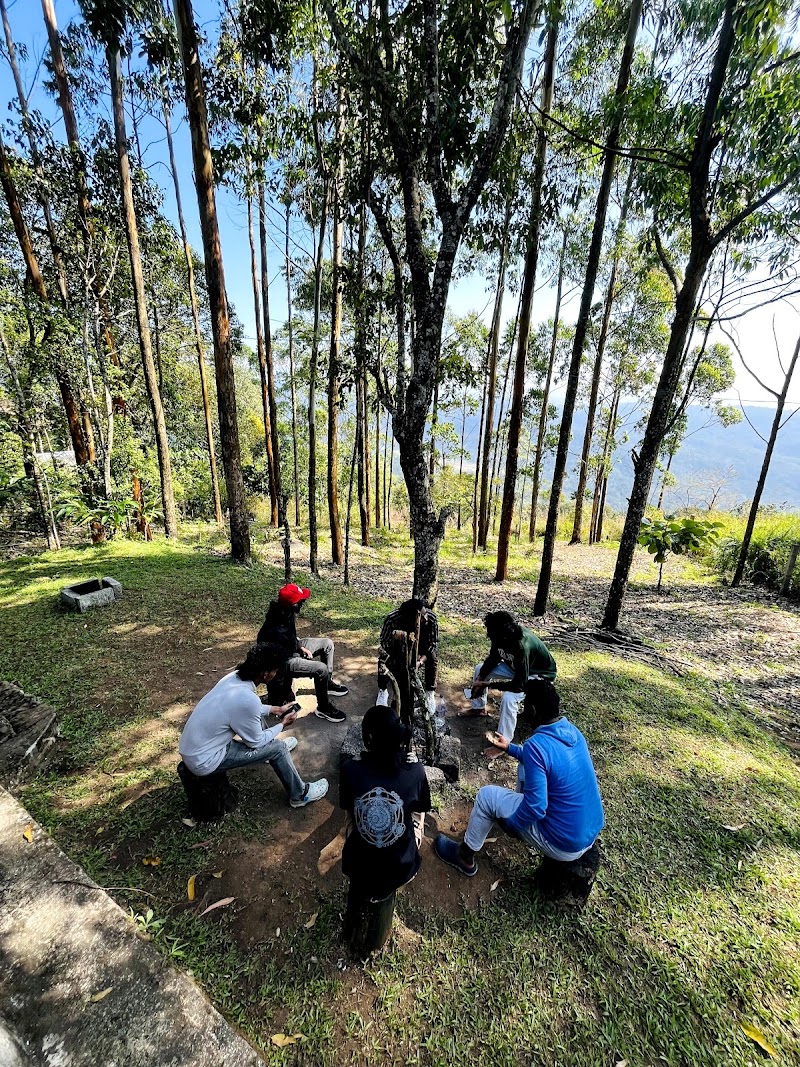 Bison valley - Bison valley, 24F9+HHJ, Udumbanchola, Keralam 685613, India