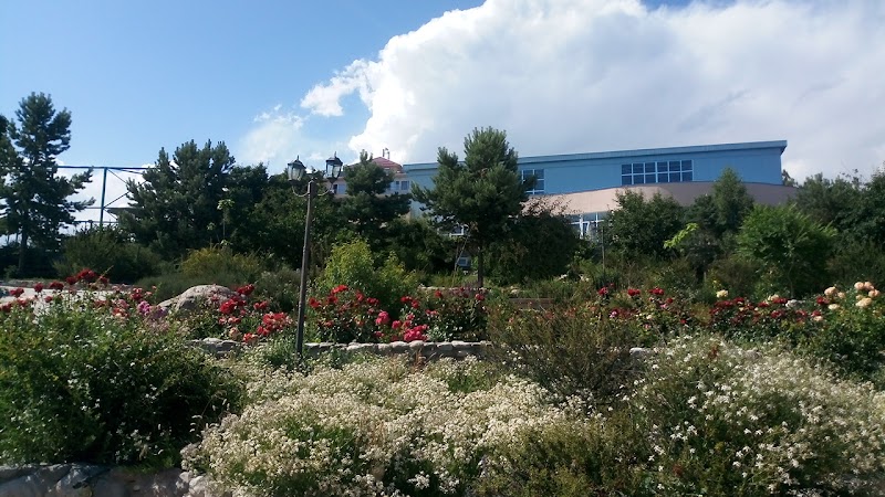 AZURE SPORT RESORT