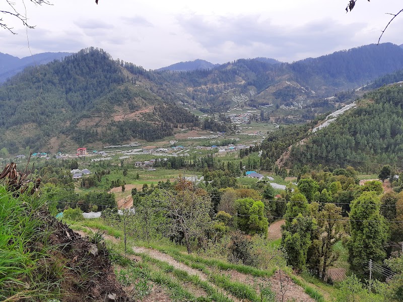 Janjehli Camping - Janjehli Camping Vill. Ruhara P.O Janjehli Teh. Thunag Distt. Mandi (H.P), Shikari Temple Rd, Riara, Dhalyar, Himachal Pradesh 175047, India