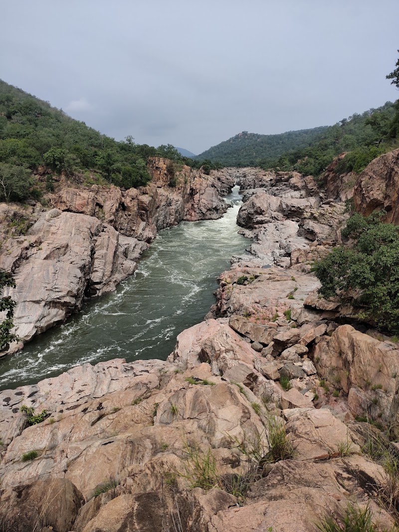 Cauvery Wildlife Sanctuary,Mandya-Ramanagara zone. - Cauvery Wildlife Sanctuary,Mandya-Ramanagara zone., 8862+JQX, Basavana Betta Forest, Karnataka 571421, India