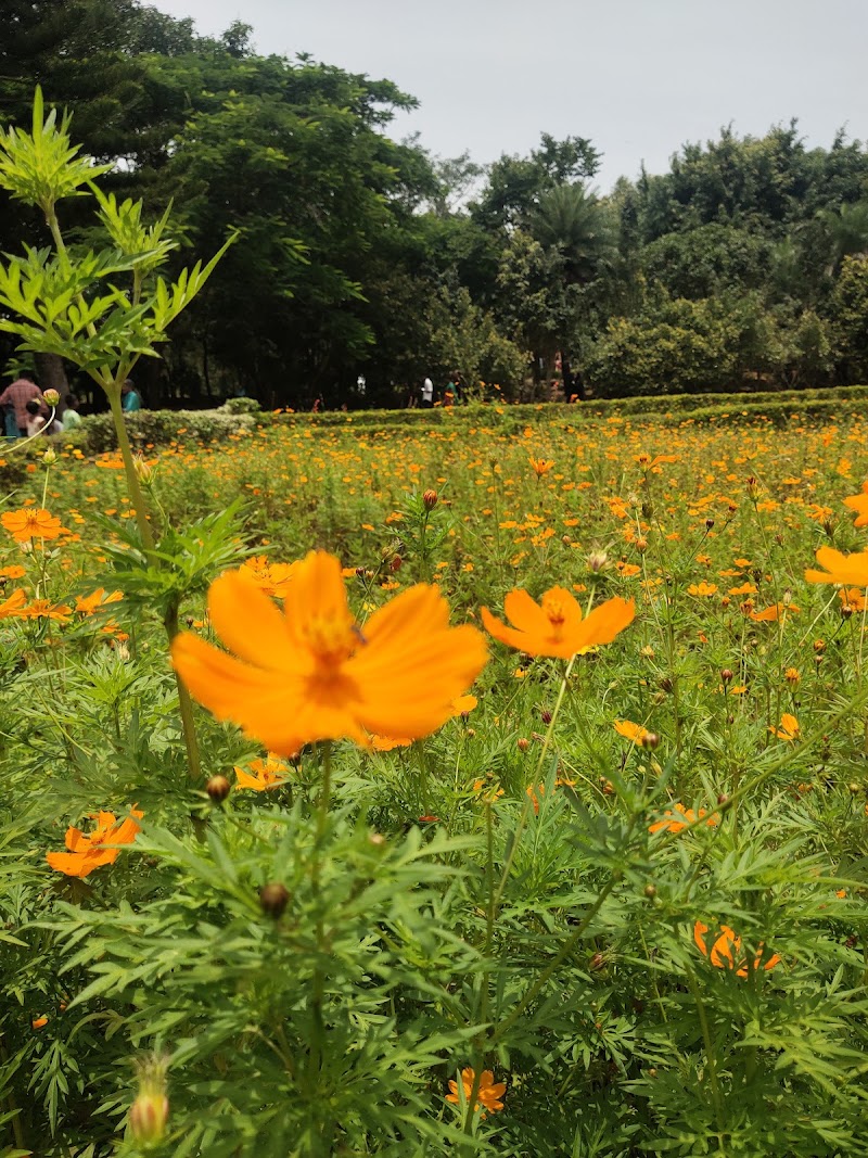 Yelagiri - Nature Park - Yelagiri - Nature Park Punganur, Yelagiri, Tamil Nadu 635853, India