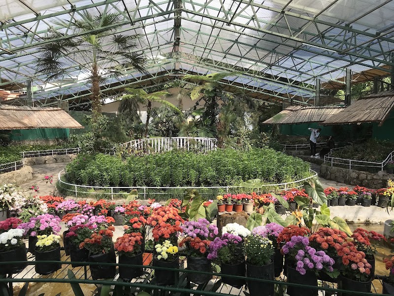 Flower Exhibition Centre - Ridge Park.