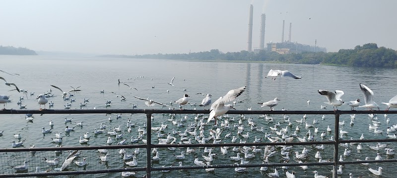 Kota Barrage View Point - Kota Barrage View Point Kota Barrage, Electricity Board Area, Kota, Rajasthan 324006, India