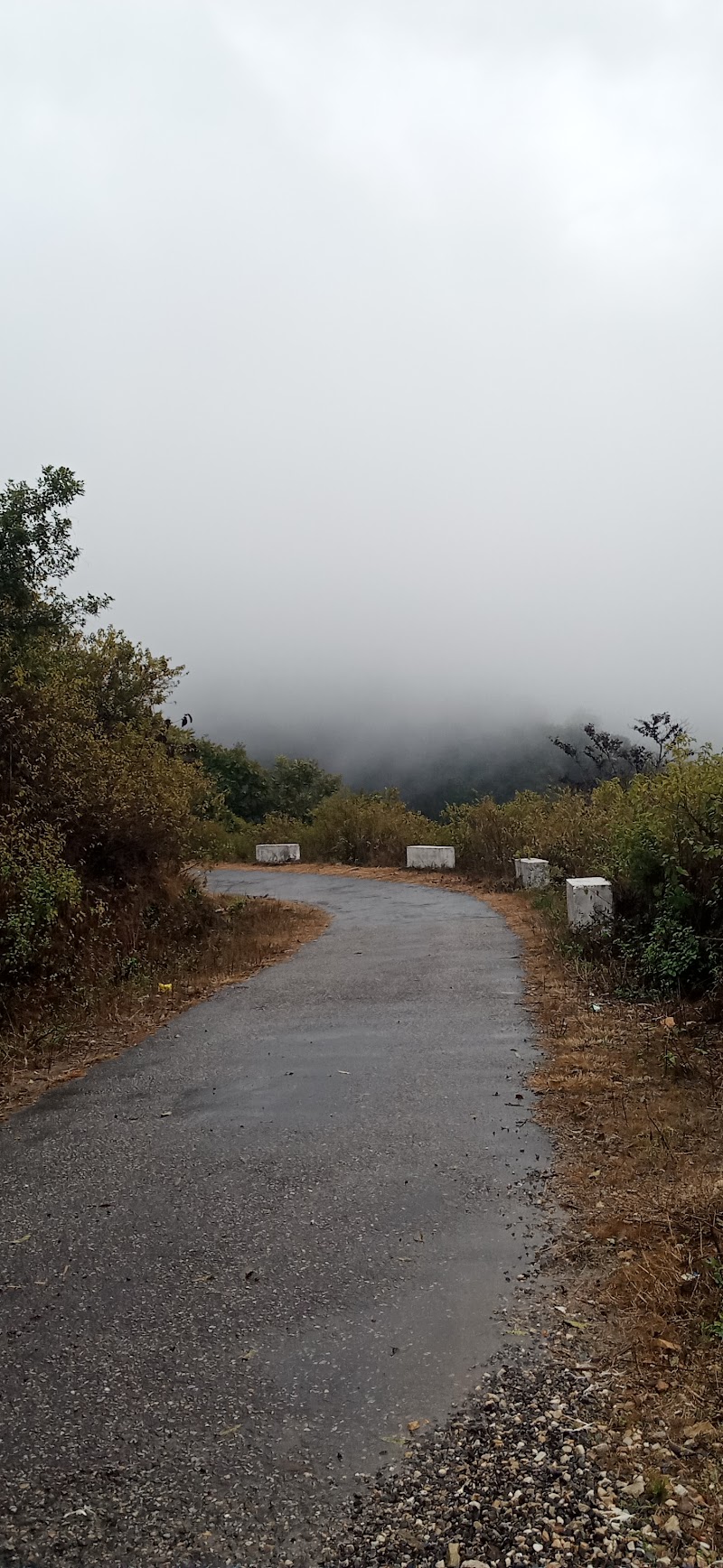 Hill view - Hill view, 48FJ+MC7, Neelkanth road, near sonu guest house, opposite of Santa seva ashram, Laxman Jhula, Rishikesh, Jonk, Uttarakhand 249302, India