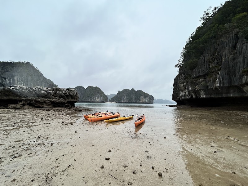 Cat Ba Kayak Adventures - Cat Ba Kayak Adventures, 212 Cái Bèo, Street Cat Ba town, Cát Hải, Hải Phòng 200000, Vietnam