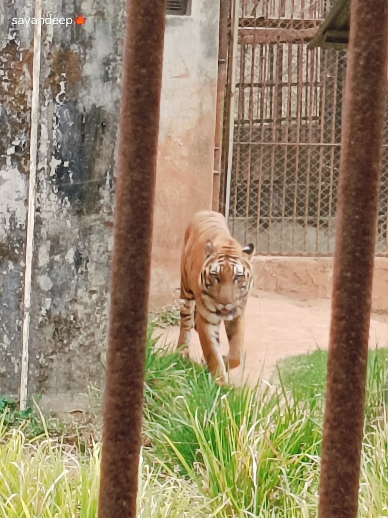 Assam State Zoo cum Botanical Garden - Assam State Zoo cum Botanical Garden RG Baruah Rd, Japorigog, Guwahati, Assam 781005, India