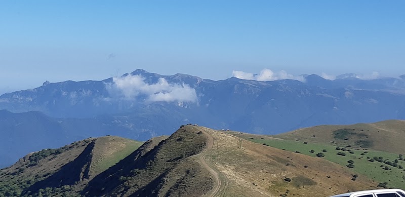 جنگل فندقلو - جنگل فندقلو، Iran