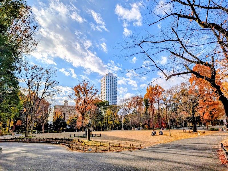 Shinjuku Chūō Park - Shinjuku Chūō Park 2 Chome-11 Nishishinjuku, Shinjuku City, Tokyo 160-0023, Japan