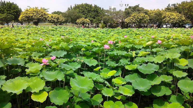 Shuhong Lotus Park