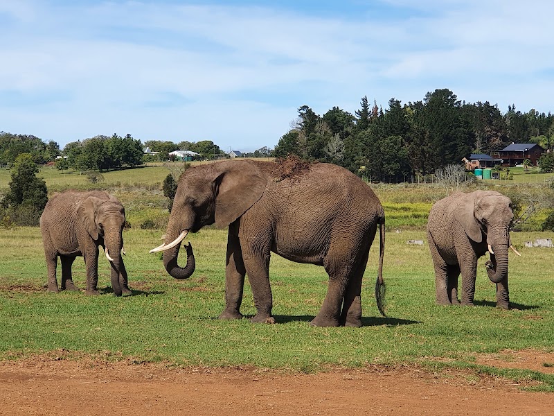 Garden Route National Park - Garden Route National Park, South Africa