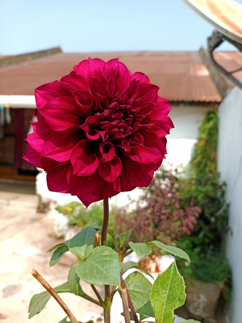 Koteswar sahukar hous - Koteswar sahukar hous, MH4V+PCG, Sanabankili, Odisha 765020, India