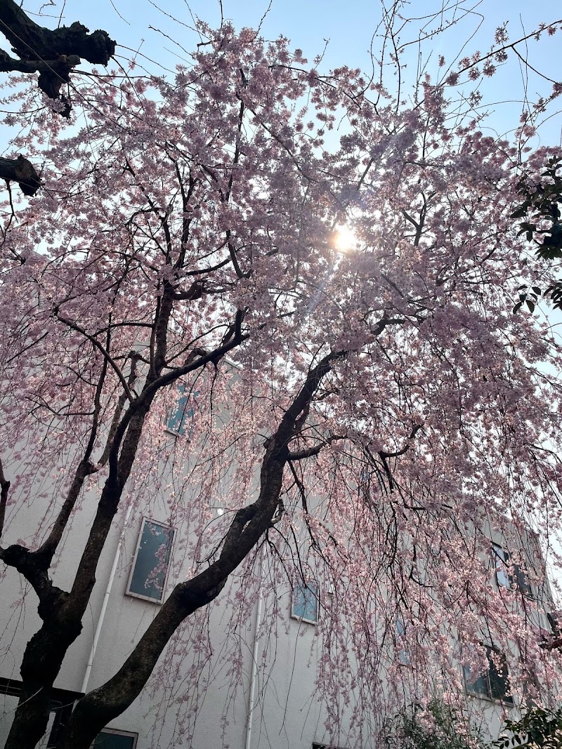 Arigato Travel / Arigato Japan Food Tours - Arigato Travel / Arigato Japan Food Tours, Japan, 〒154-0004 Tokyo, Setagaya City, Taishidō, 4-chōme−17−１０ Heights – 200