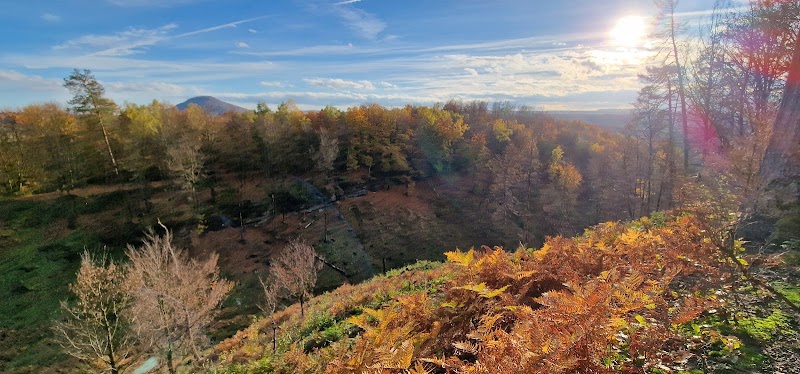 Pravčický důl - Pravčický důl, Unnamed Road, 405 02 Hřensko-Děčín 2, Czechia