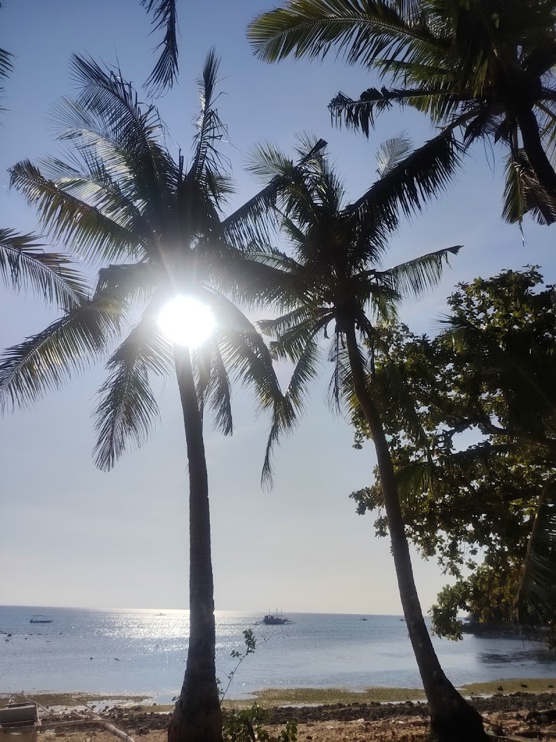 Shipwreck Beach Trailhead - Shipwreck Beach Trailhead, 84R6+HW, Daanbantayan, Cebu, Philippines
