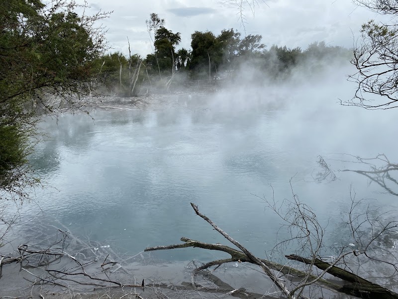 Kuirau Park - Mud Pools - Kuirau Park - Mud Pools Kuirau Street, Rotorua 3010, New Zealand