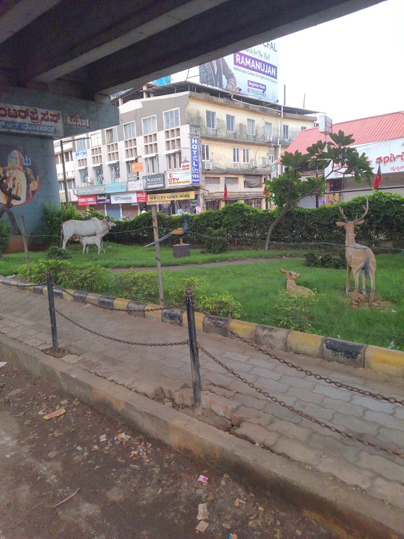 Surathkal - Surathkal, Mangaluru, Karnataka, India