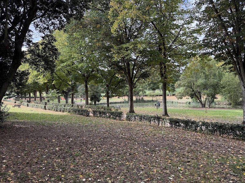Laghetto - Laghetto, Viale Don Luigi di Liegro, 00199 Roma RM, Italy