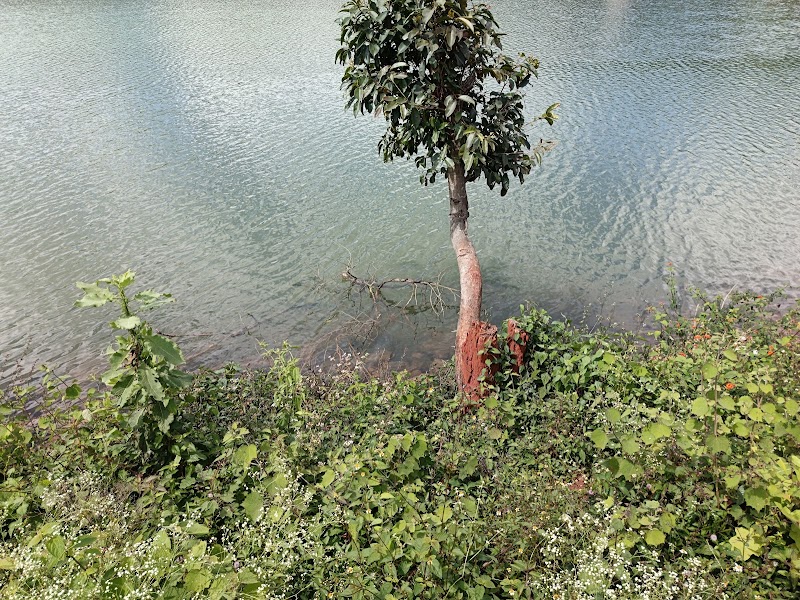 Hirekolale Lake - Hirekolale Lake 9P55+GV, HirekoLale, Karnataka 577101, India