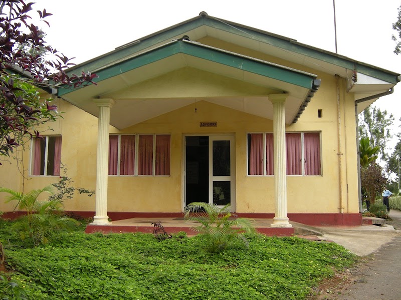 Hantana Tea Research Institute - Hantana Tea Research Institute, Hantana Rd, Kandy, Kandy, Sri Lanka
