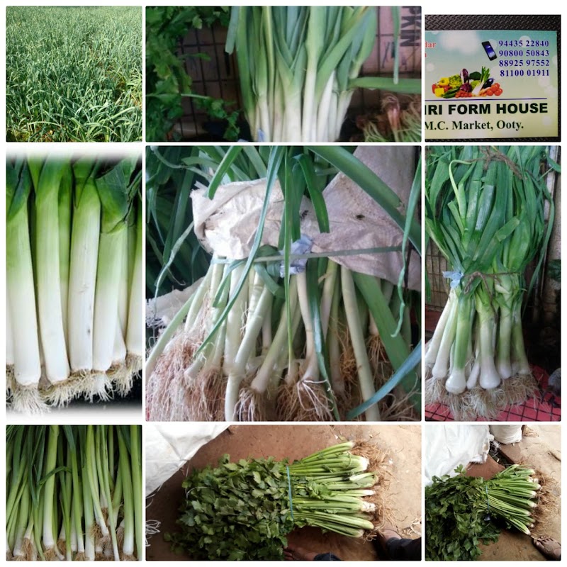 Vegetable u m c Market ooty
