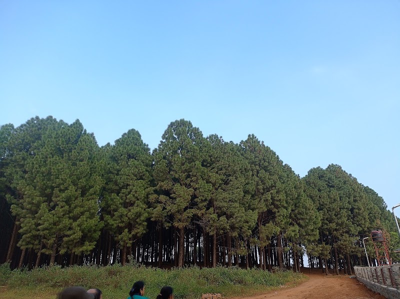 Netarhat Lake - Netarhat Lake F7JC+27M, Netarhat, Jharkhand 835218, India