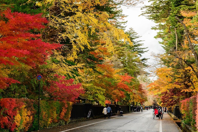Kakunodate Samurai Residence Street