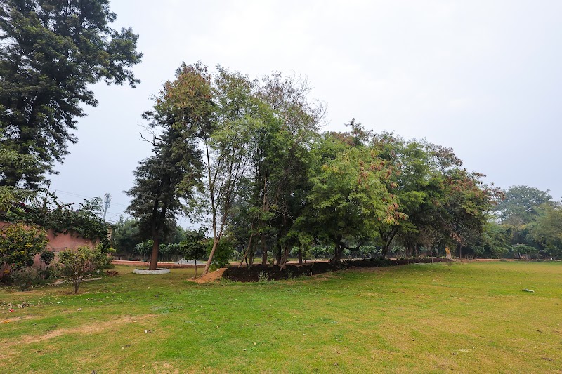 The Oakwood Farm - The Oakwood Farm 57 Milestone NH8, Panchgaon, Binola, Gurugram, Haryana 122413, India