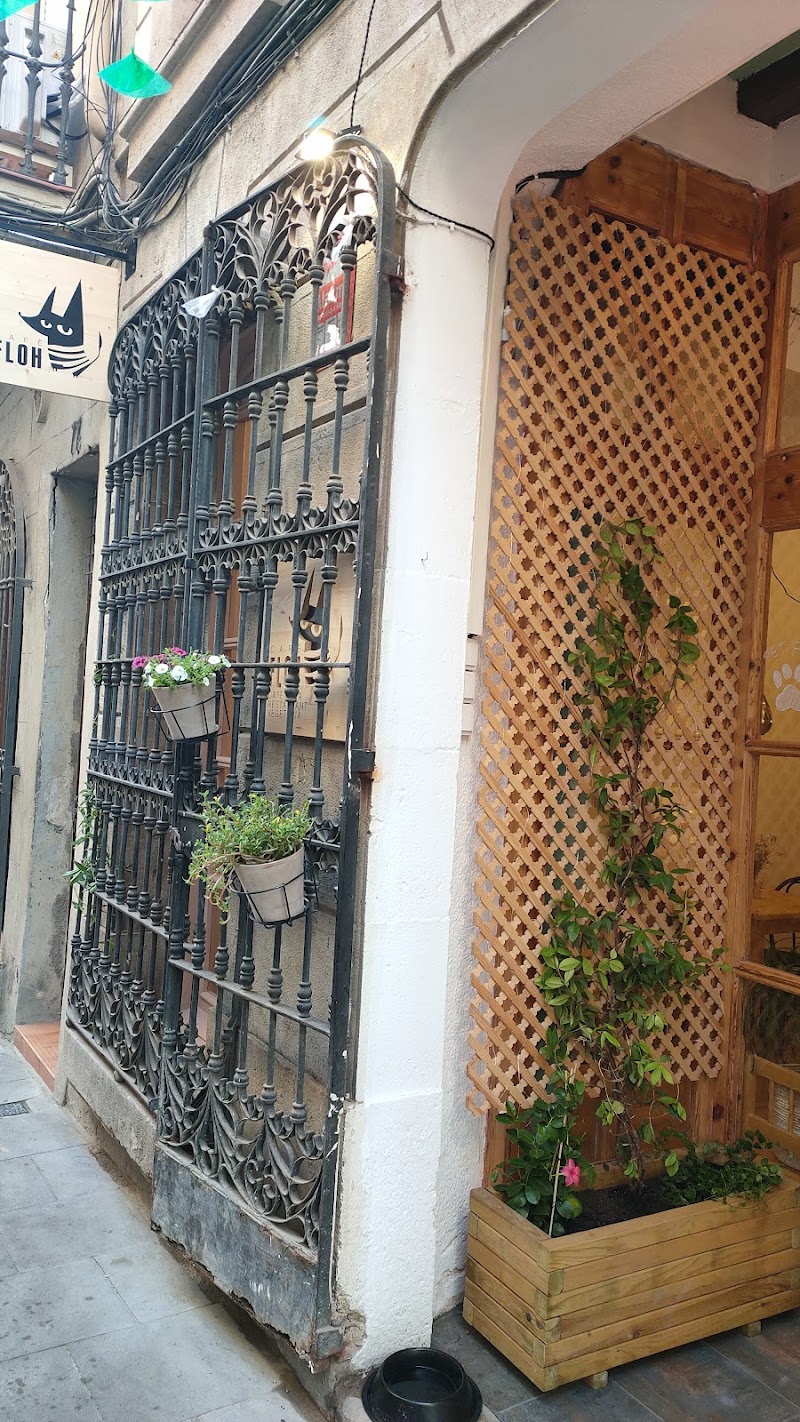 Vila de Gràcia - Vila de Gràcia Vila de Gràcia, Gràcia, Barcelona, Spain