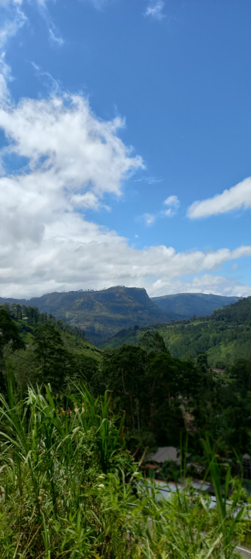 Nanu Oya - Nanu Oya, Nuwara Eliya 22200, Sri Lanka