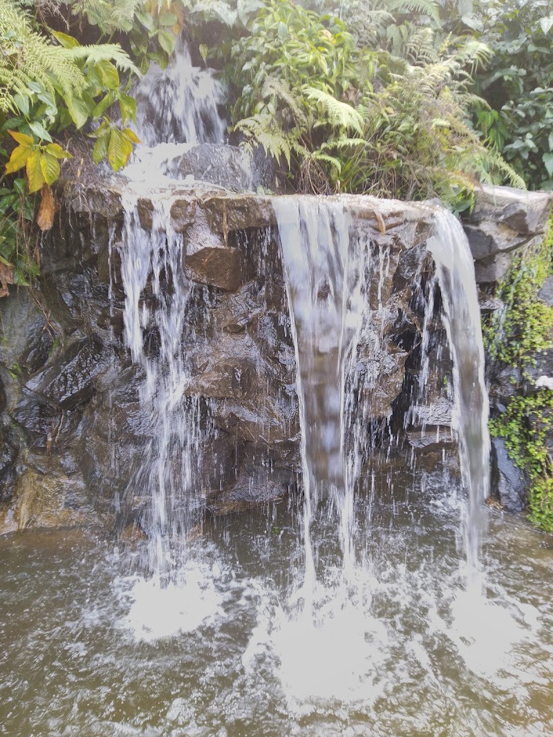 Nilambur - Nilambur, Kerala, India