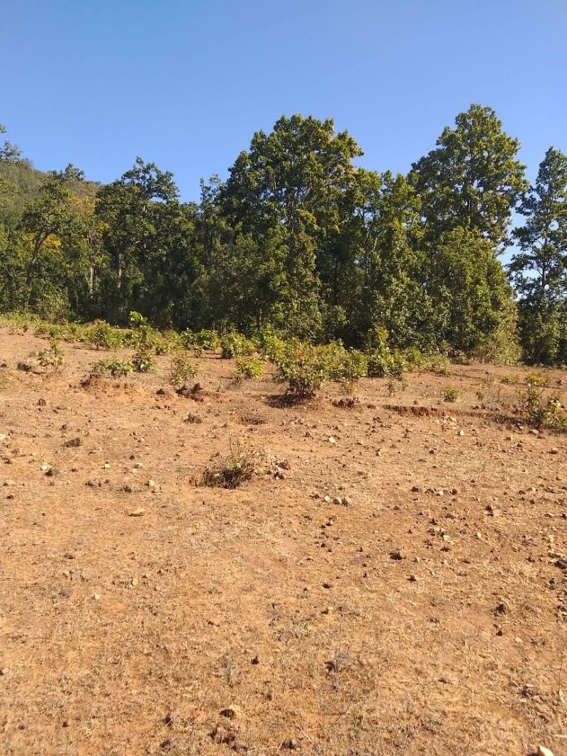 Mahuadanr - Mahuadanr, Jharkhand 822119, India