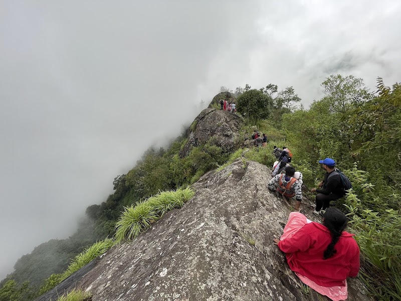 GO KOTAGIRI TOURISM