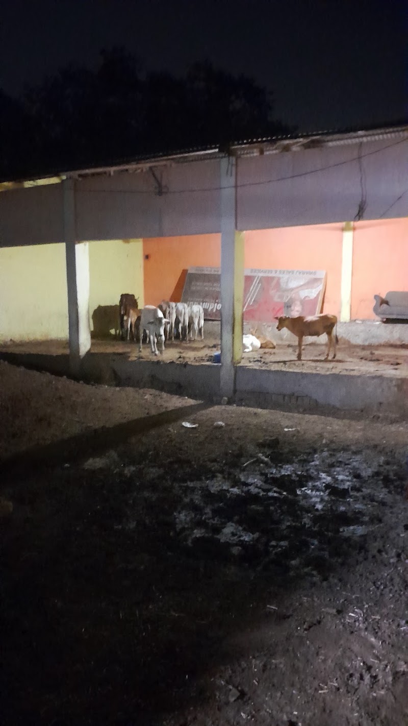 Shree Krishn Gau Seva Dham Kusmunda विश्व हिंदू परिषद बजरंग दल - Shree Krishn Gau Seva Dham Kusmunda विश्व हिंदू परिषद बजरंग दल, Adarsh Nagar, Mangaw, Chhattisgarh 495454, India