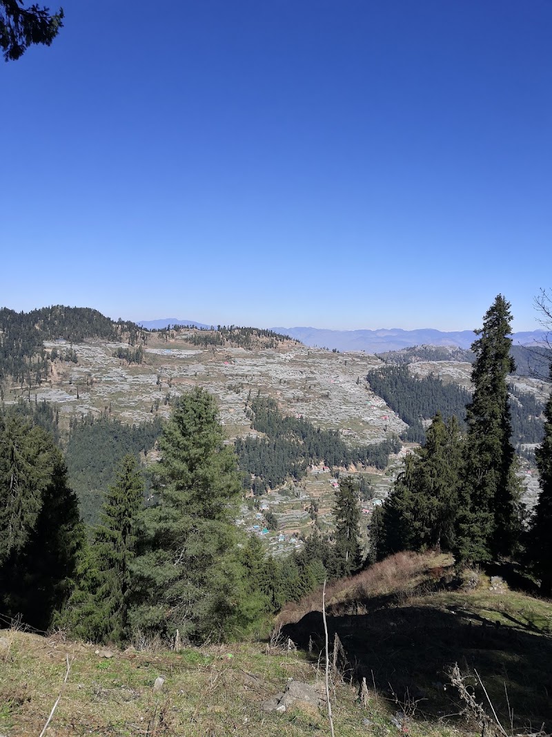 Narkanda Road - Narkanda Road, Narkanda Rd, Himachal Pradesh, India