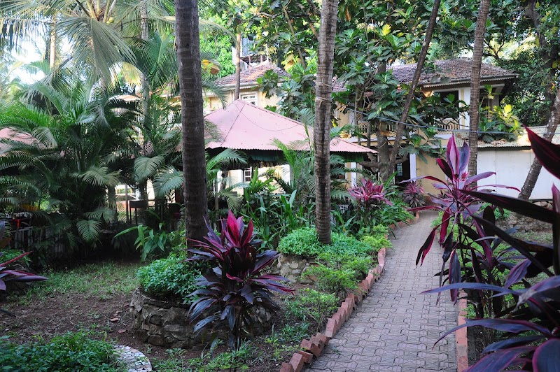 Palolem Guest House - Palolem Guest House Ourem Rd, Mohanbagh, Palolem, Canacona, Goa 403702, India