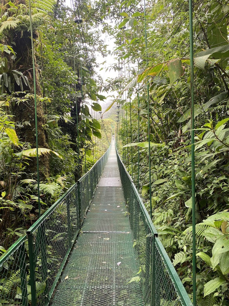 Forest Alive - Forest Alive, Plaza Monteverde, Centro Comercial Local 3, Provincia de Puntarenas, Santa Elena, 61201, Costa Rica