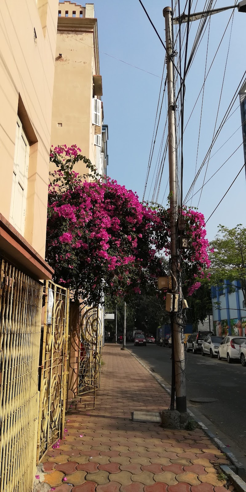 Bhowanipore - Bhowanipore, Kolkata, West Bengal, India