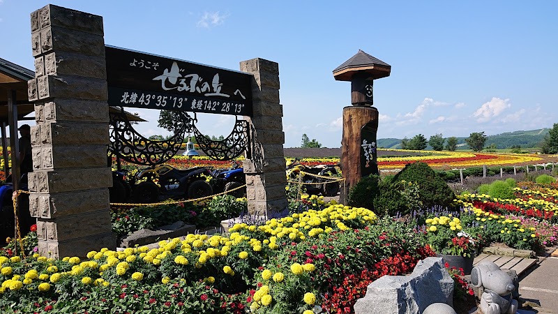 Zerubu Hill - Zerubu Hill Japan, 〒071-0200 北海道上川郡美瑛町大三