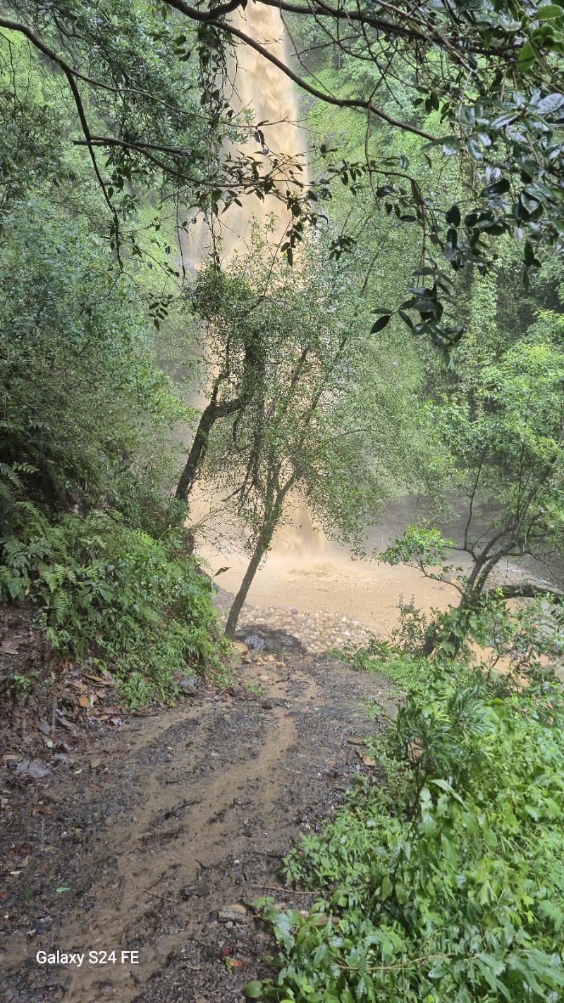 Chadwick Falls - Chadwick Falls 449Q+VH3, Shimla, Himachal Pradesh 171005, India