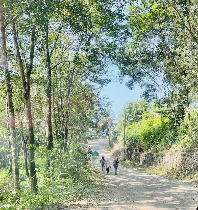 View Point-manjeri - View Point-manjeri, 44HM+75H, PVR Rd, Malamkulam, Manjeri, Kerala 676122, India