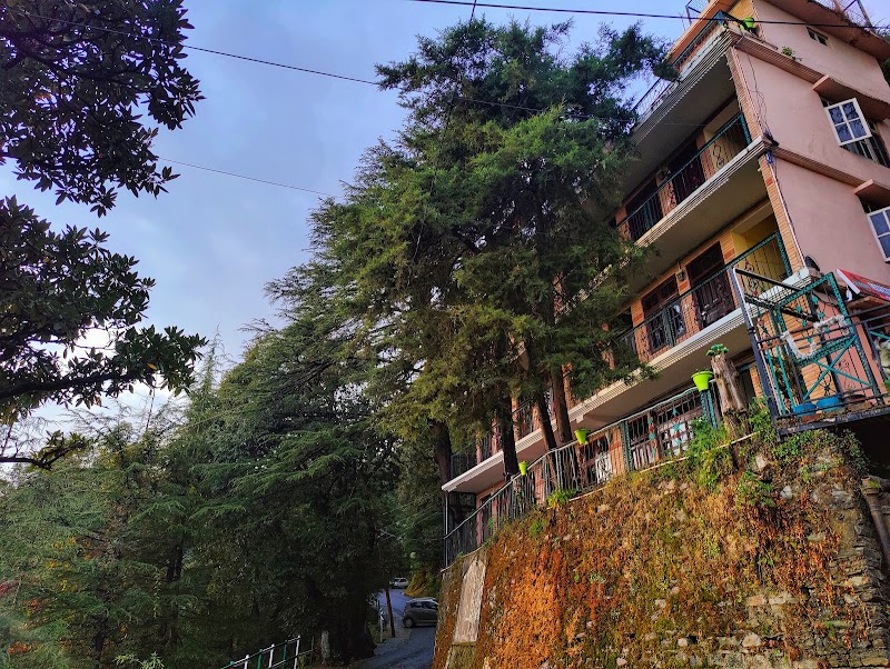 Jakhu Vibes Shimla